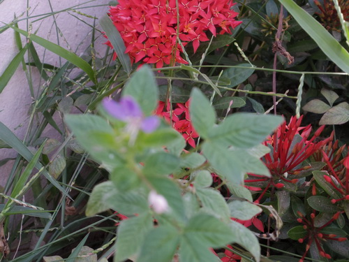 a0002177_17111100.jpg