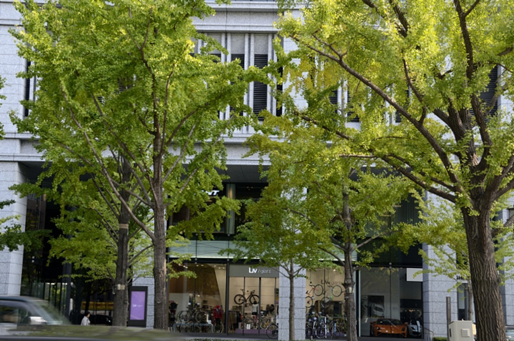 f0108478_16424445.jpg