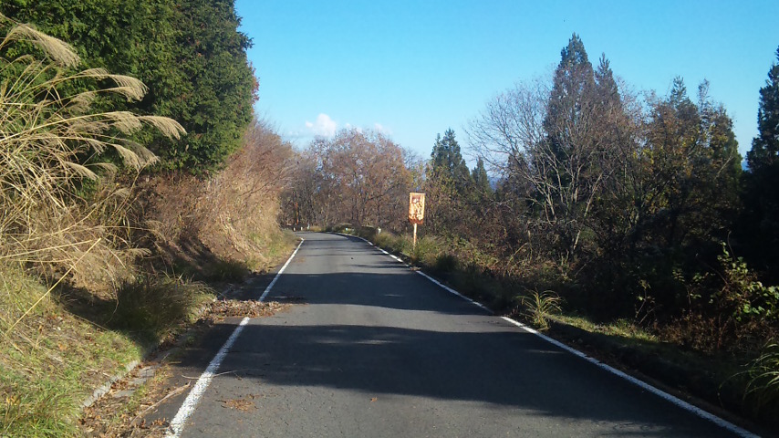 f0131183_1936121.jpg