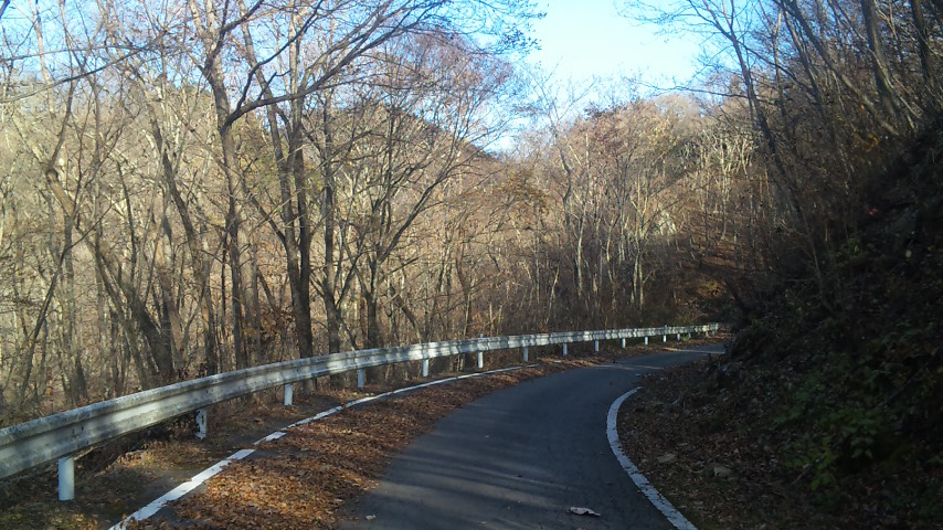 f0131183_19361824.jpg