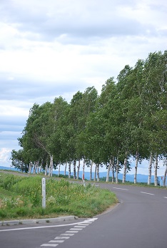 f0079484_2312184.jpg