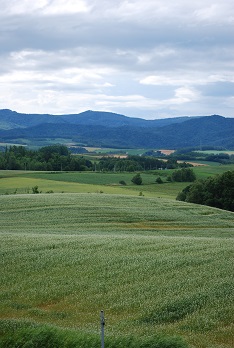 f0079484_237244.jpg