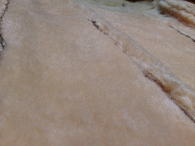 c0078587_22172225.jpg
