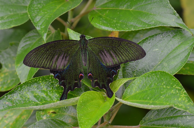 a0277496_9364983.jpg