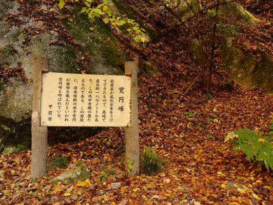 a0164102_127468.jpg