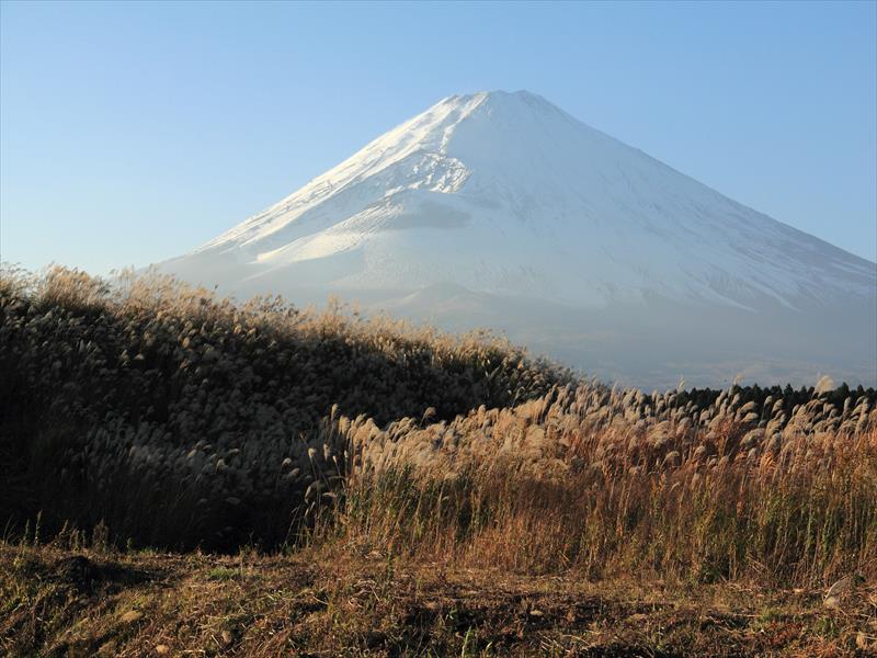a0188405_21562025.jpg