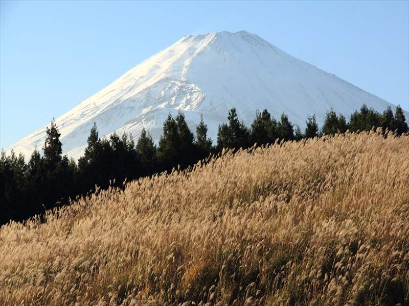 a0188405_21582887.jpg