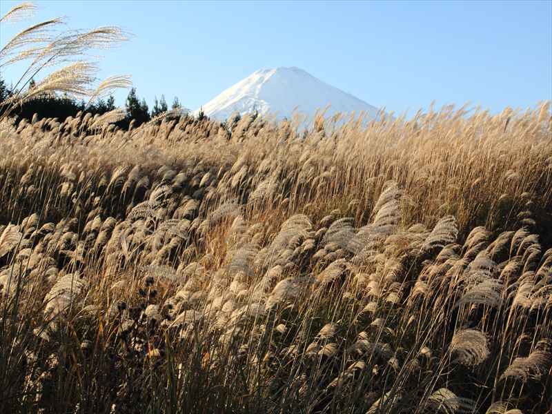 a0188405_2159113.jpg