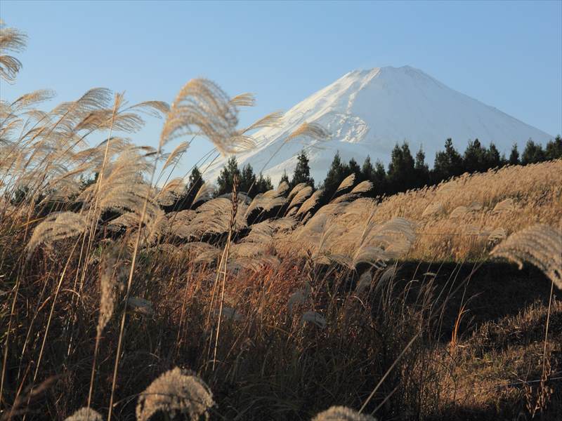 a0188405_21592462.jpg
