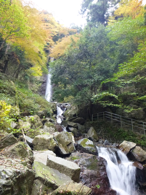d0170615_10233341.jpg