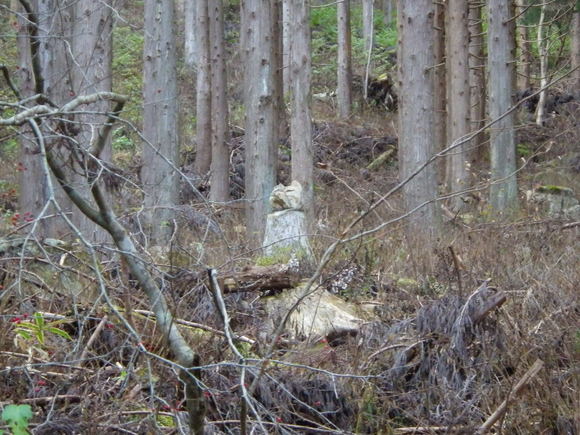 f0118332_23171780.jpg