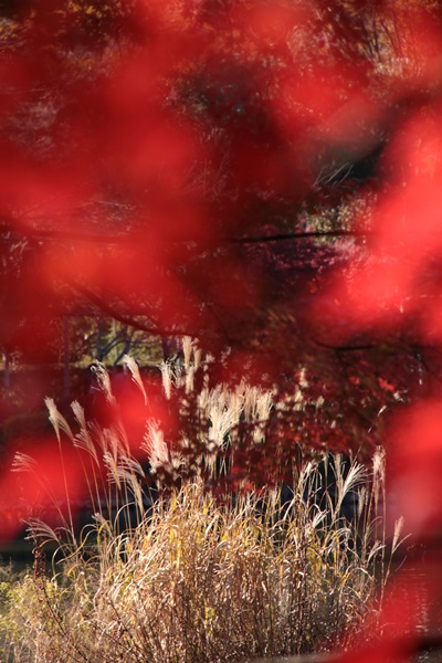 f0217933_16384926.jpg