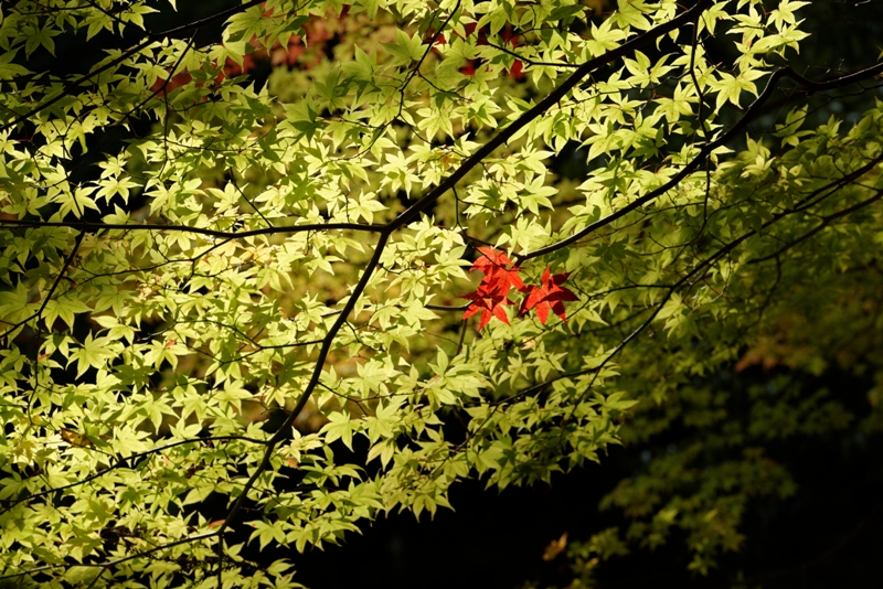 f0274536_23583169.jpg