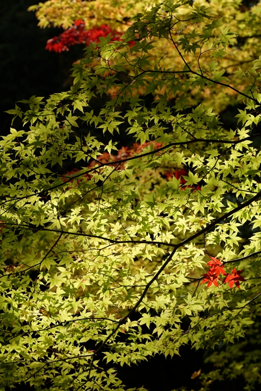 f0274536_2358544.jpg