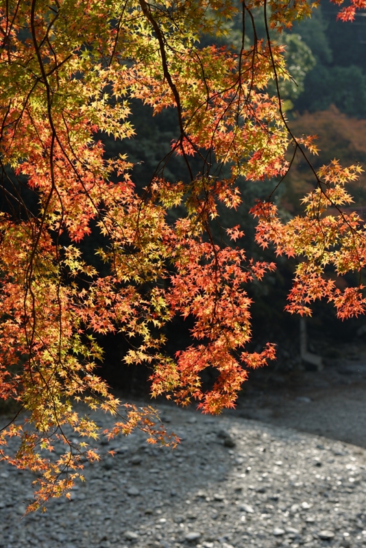 f0274536_23591271.jpg