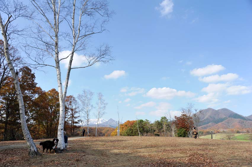 b0075541_20352148.jpg
