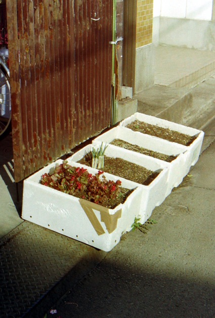 d0089742_19384195.jpg