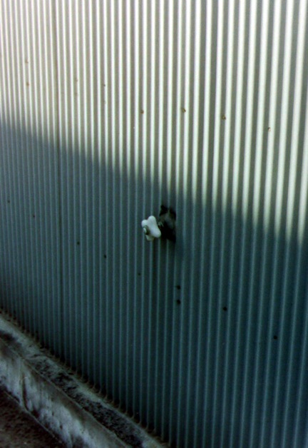 d0089742_1939113.jpg