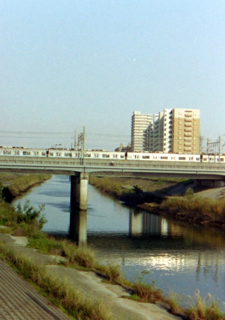 d0089742_2071362.jpg