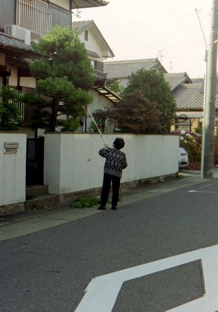 d0089742_2083245.jpg