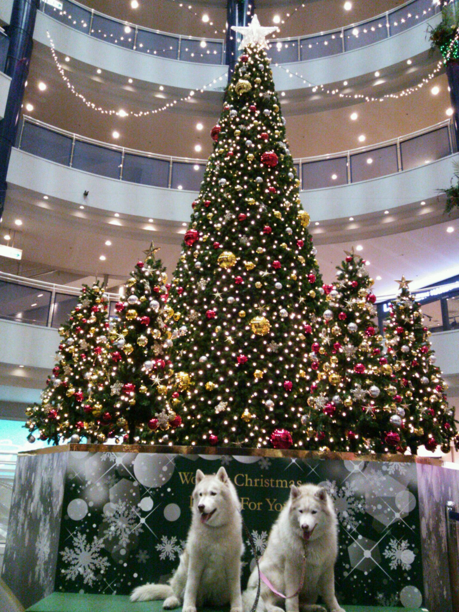 e0121548_238206.jpg