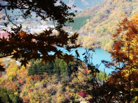 c0097558_11432188.jpg