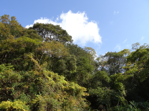 c0108460_1831349.jpg