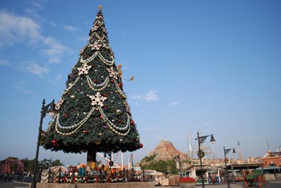 b0059664_17295985.jpg
