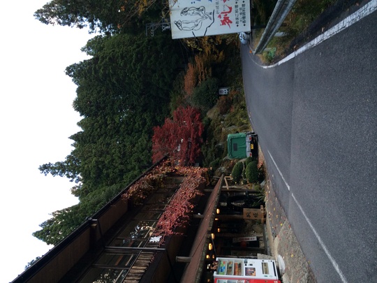 f0299870_1118128.jpg