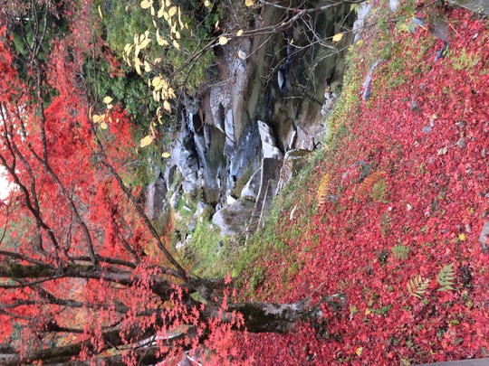 f0299870_11225843.jpg