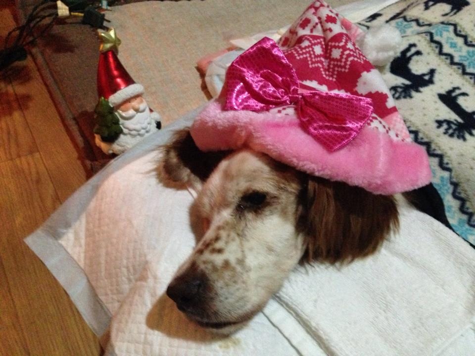 c0301772_1339429.jpg