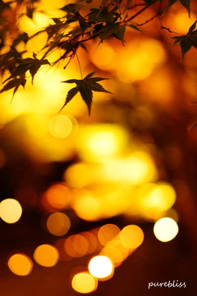b0243873_21195015.png