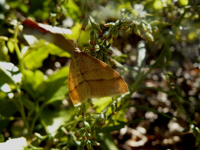 d0019074_16284832.jpg