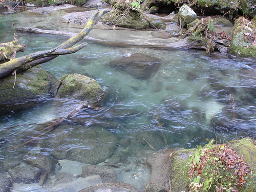 d0165378_8341912.jpg