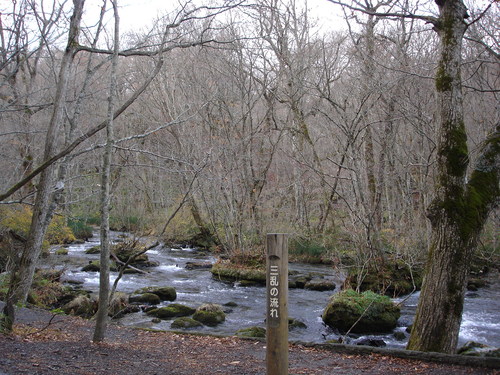 d0165378_8351864.jpg