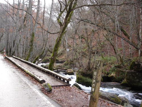 d0165378_8353023.jpg