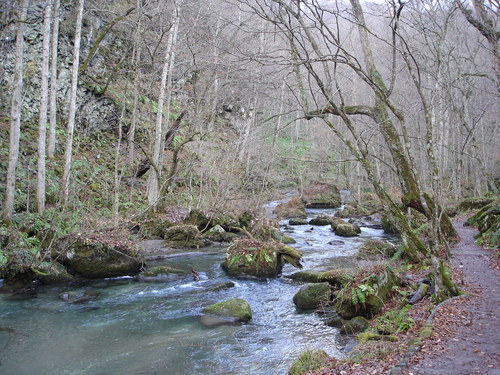 d0165378_83625100.jpg
