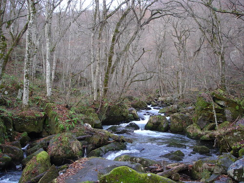 d0165378_836681.jpg