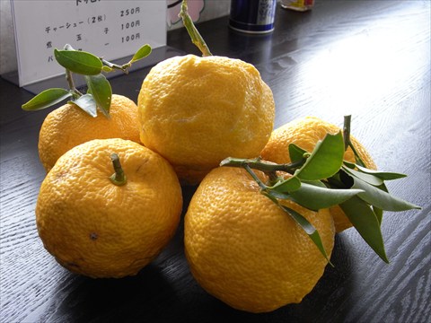 b0080681_17585821.jpg