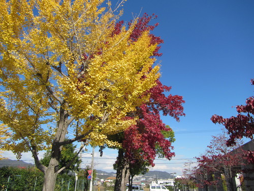 a0251786_8231561.jpg
