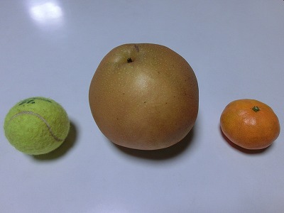 e0123587_2050399.jpg