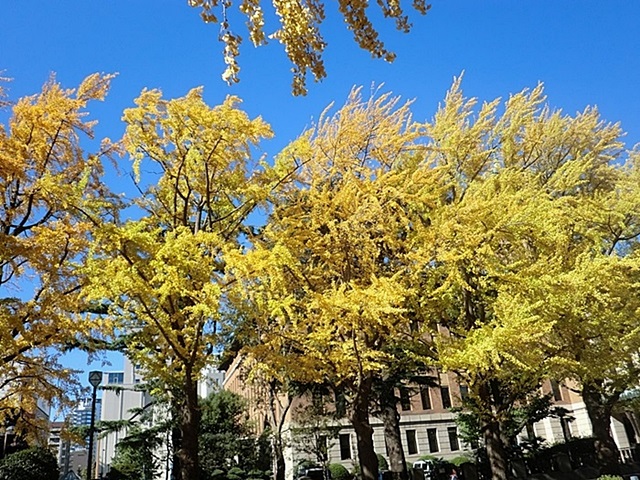 e0143690_1032464.jpg