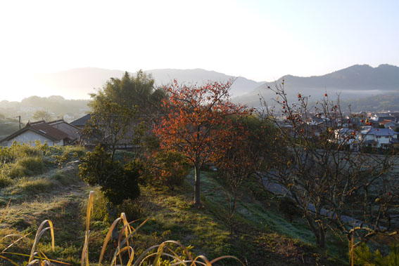 f0222692_18412075.jpg