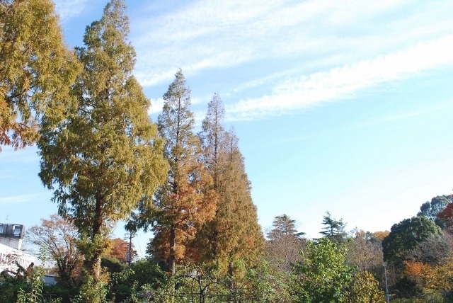 e0025300_16131196.jpg