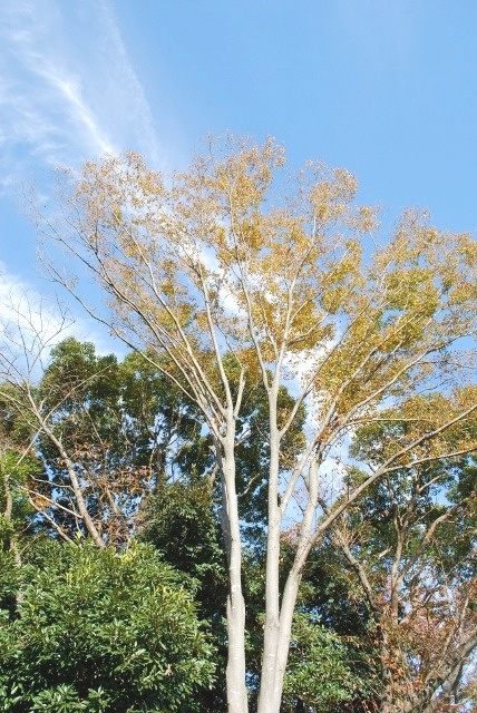 e0025300_16151936.jpg