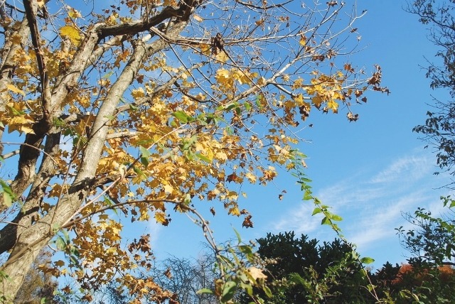 e0025300_16154576.jpg
