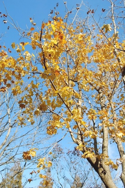 e0025300_16161981.jpg