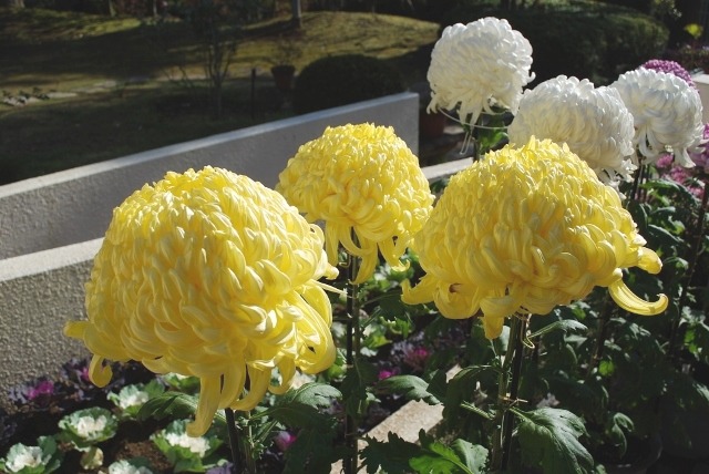 e0025300_16222193.jpg