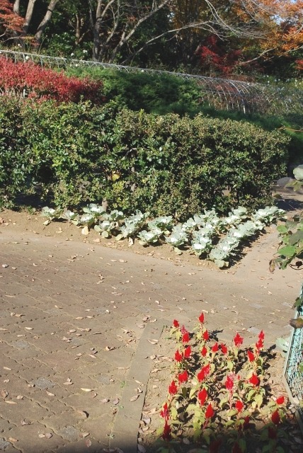 e0025300_16262666.jpg