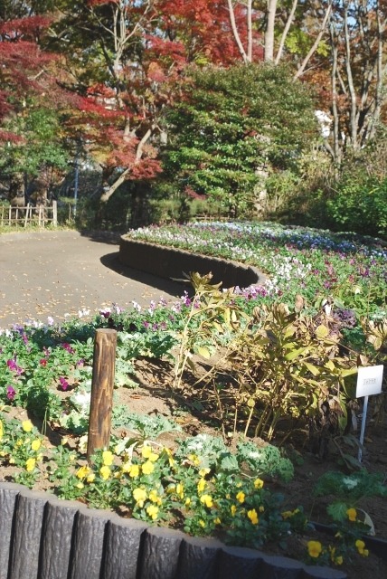 e0025300_1631910.jpg